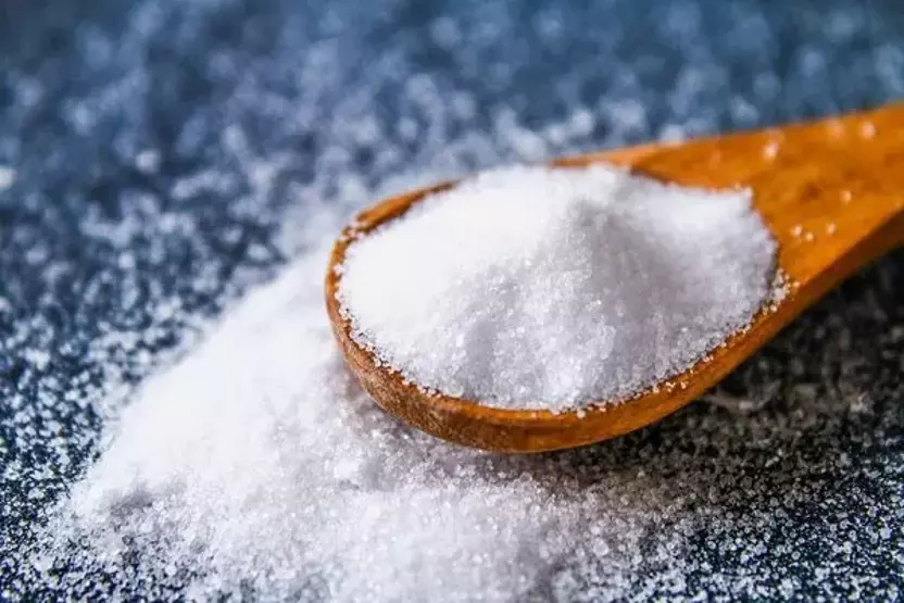 Refined Salt 2025